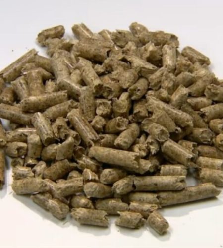 biomass wood pellets wholesale supplier in uk