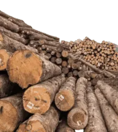 logs by opholzimpex
